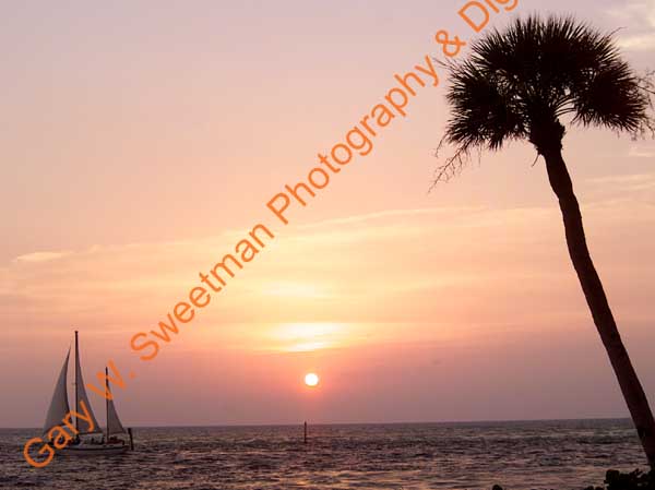 Sailboat sunset palm horz
