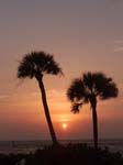 Twin Palms sunset vert