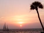 Sailboat sunset palm horz