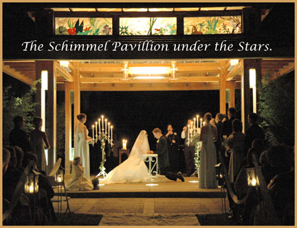 Selby Gardens Schimmel Pavillion wedding photo by Gary Sweetman