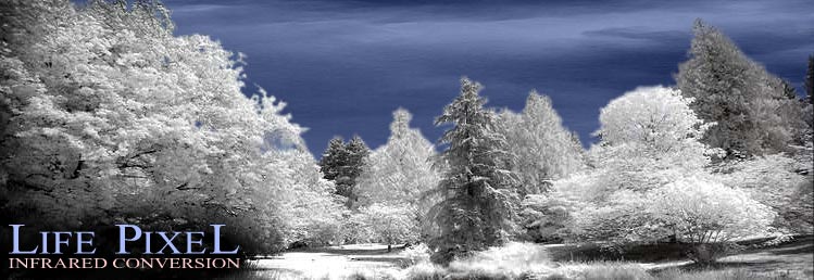lifepixel.com infrared conversion link from Sweetman photo